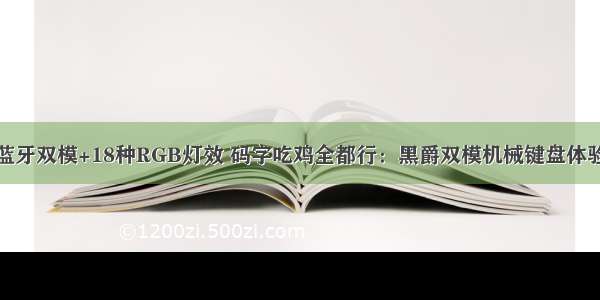 蓝牙双模+18种RGB灯效 码字吃鸡全都行：黑爵双模机械键盘体验