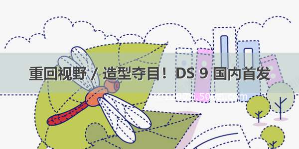 重回视野 / 造型夺目！DS 9 国内首发