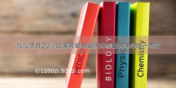 汕汕项目QC小组荣获湖南省优秀质量管理小组一等奖