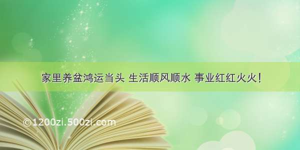 家里养盆鸿运当头 生活顺风顺水 事业红红火火！