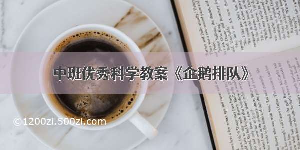 中班优秀科学教案《企鹅排队》