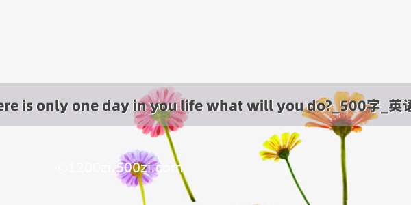 if there is only one day in you life what will you do?_500字_英语作文