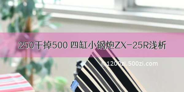 250干掉500 四缸小钢炮ZX-25R浅析