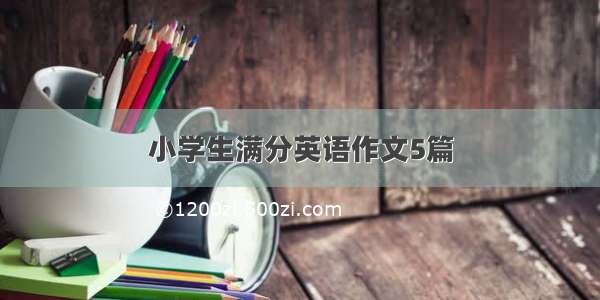 小学生满分英语作文5篇