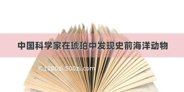 中国科学家在琥珀中发现史前海洋动物