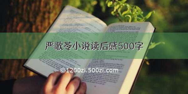 严歌苓小说读后感500字