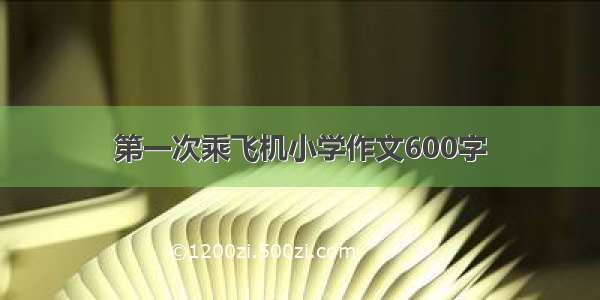 第一次乘飞机小学作文600字