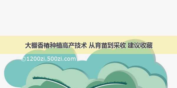 大棚香椿种植高产技术 从育苗到采收 建议收藏