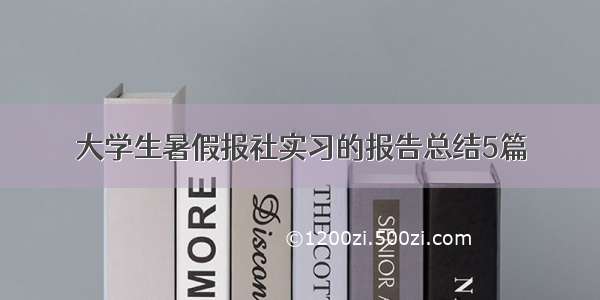 大学生暑假报社实习的报告总结5篇