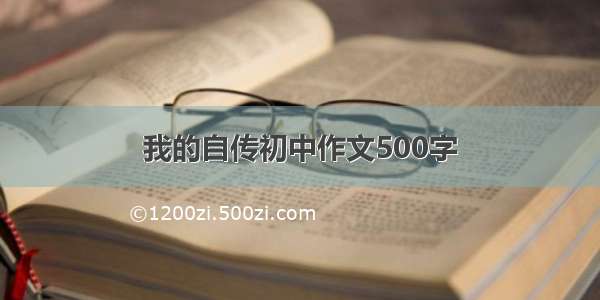 我的自传初中作文500字