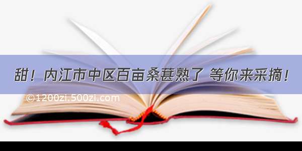 甜！内江市中区百亩桑葚熟了 等你来采摘！