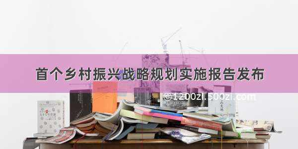 首个乡村振兴战略规划实施报告发布