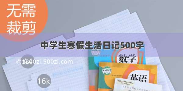 中学生寒假生活日记500字