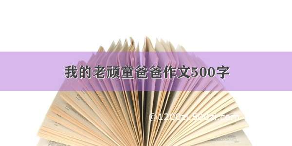 我的老顽童爸爸作文500字