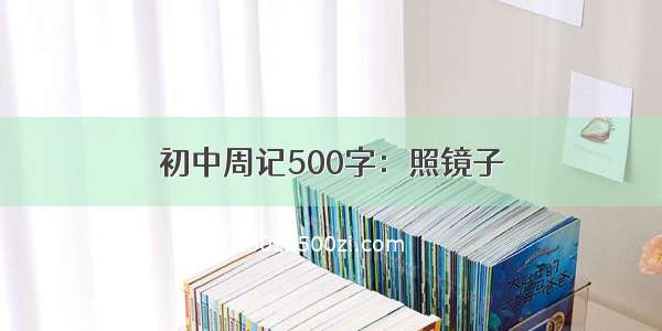 初中周记500字：照镜子