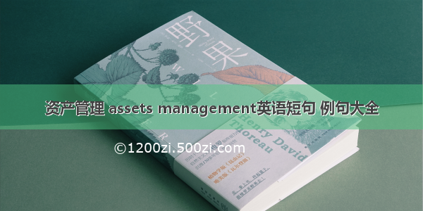 资产管理 assets management英语短句 例句大全