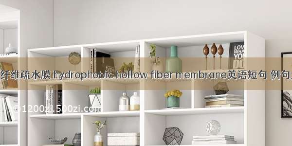 中空纤维疏水膜 hydrophobic hollow fiber membrane英语短句 例句大全