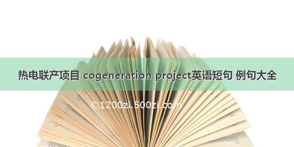 热电联产项目 cogeneration project英语短句 例句大全