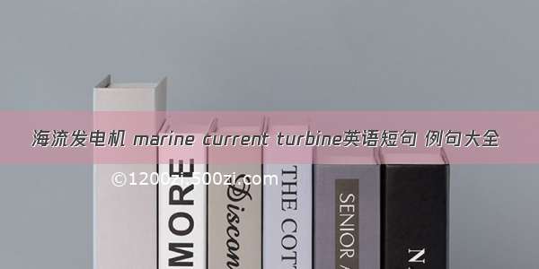 海流发电机 marine current turbine英语短句 例句大全