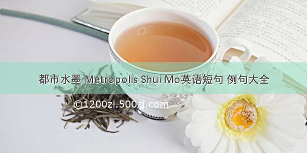 都市水墨 Metropolis Shui Mo英语短句 例句大全