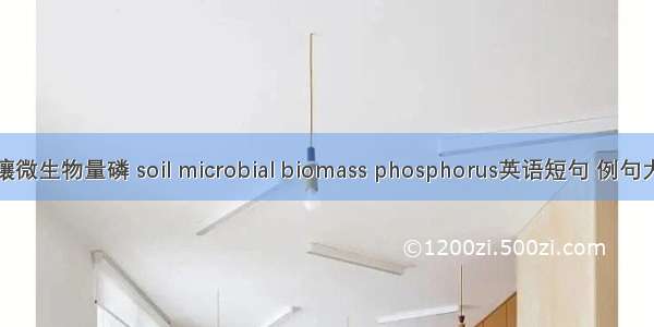 土壤微生物量磷 soil microbial biomass phosphorus英语短句 例句大全