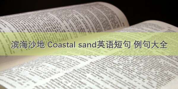 滨海沙地 Coastal sand英语短句 例句大全