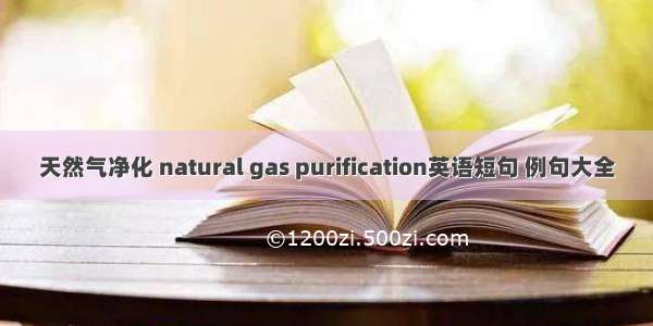 天然气净化 natural gas purification英语短句 例句大全