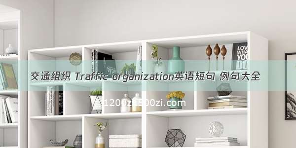 交通组织 Traffic organization英语短句 例句大全