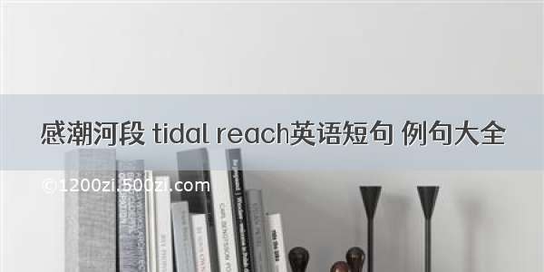 感潮河段 tidal reach英语短句 例句大全