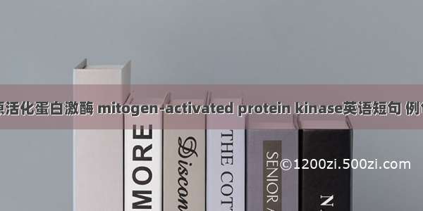 丝裂原活化蛋白激酶 mitogen-activated protein kinase英语短句 例句大全