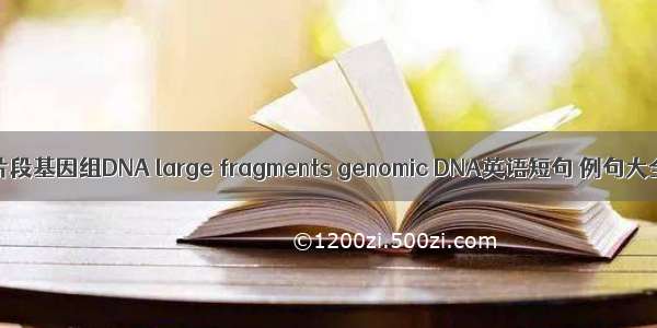 大片段基因组DNA large fragments genomic DNA英语短句 例句大全