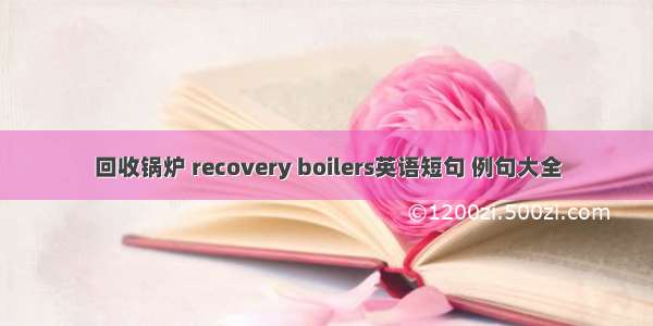 回收锅炉 recovery boilers英语短句 例句大全