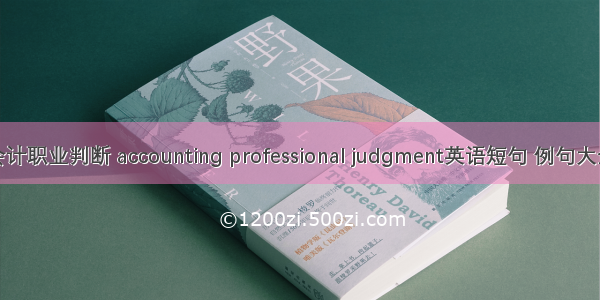 会计职业判断 accounting professional judgment英语短句 例句大全