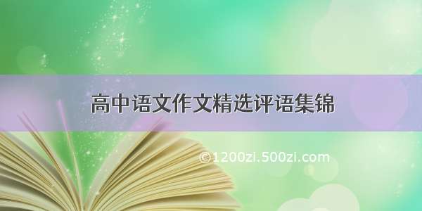 高中语文作文精选评语集锦