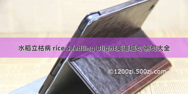 水稻立枯病 rice Seedling Blight英语短句 例句大全