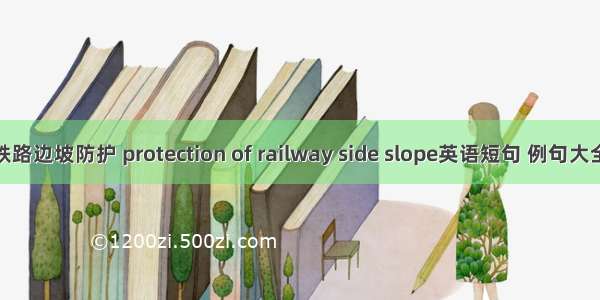 铁路边坡防护 protection of railway side slope英语短句 例句大全