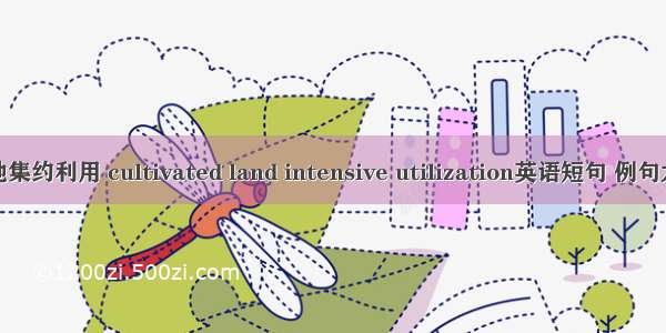 耕地集约利用 cultivated land intensive utilization英语短句 例句大全