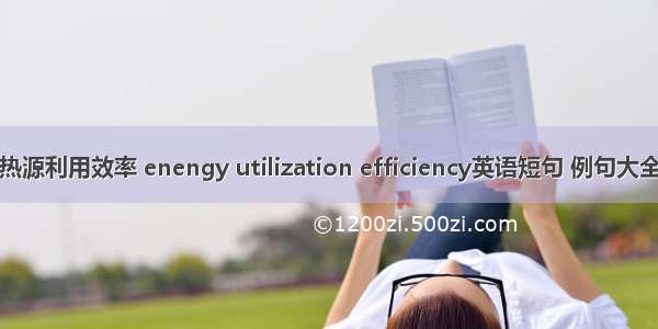 热源利用效率 enengy utilization efficiency英语短句 例句大全