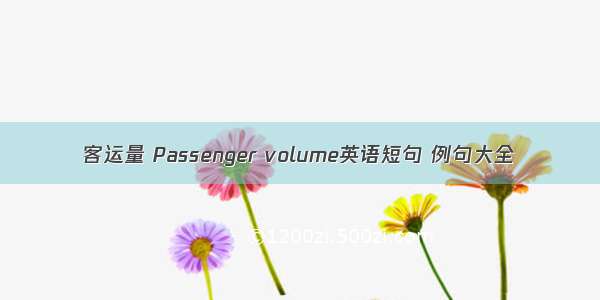 客运量 Passenger volume英语短句 例句大全