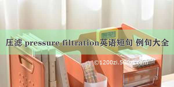 压滤 pressure filtration英语短句 例句大全