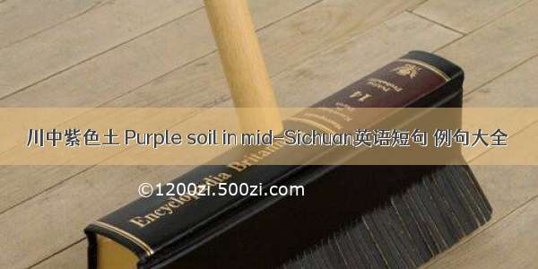 川中紫色土 Purple soil in mid-Sichuan英语短句 例句大全