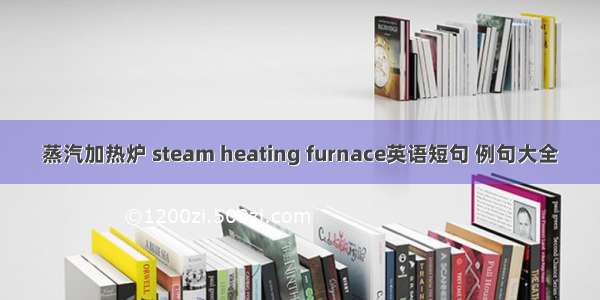 蒸汽加热炉 steam heating furnace英语短句 例句大全