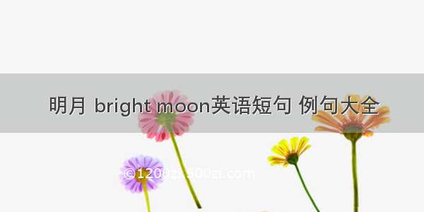 明月 bright moon英语短句 例句大全