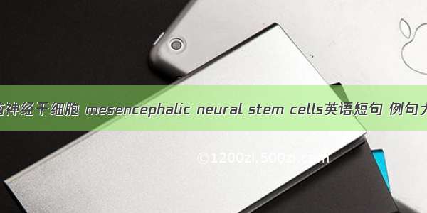中脑神经干细胞 mesencephalic neural stem cells英语短句 例句大全