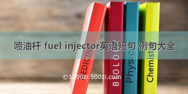 喷油杆 fuel injector英语短句 例句大全