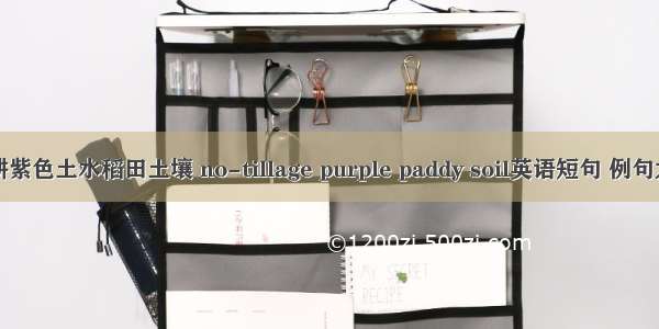 免耕紫色土水稻田土壤 no-tillage purple paddy soil英语短句 例句大全