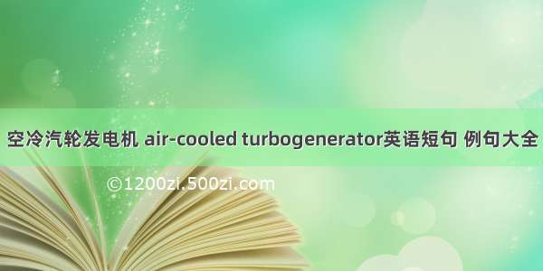 空冷汽轮发电机 air-cooled turbogenerator英语短句 例句大全