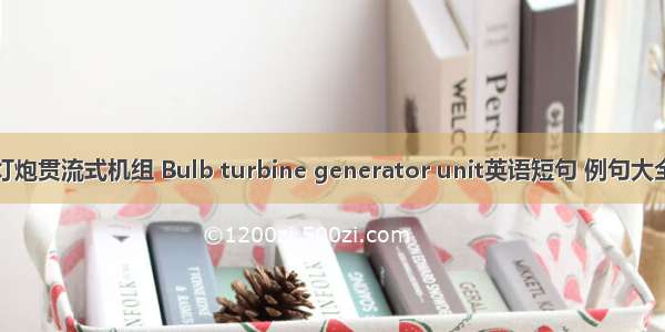 灯炮贯流式机组 Bulb turbine generator unit英语短句 例句大全