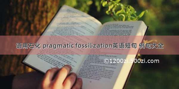 语用石化 pragmatic fossilization英语短句 例句大全