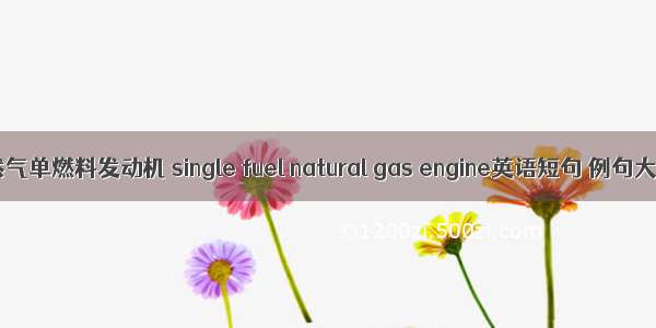 天然气单燃料发动机 single fuel natural gas engine英语短句 例句大全